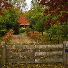 Autumn Garden